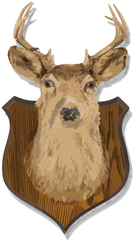 Mounted buck head